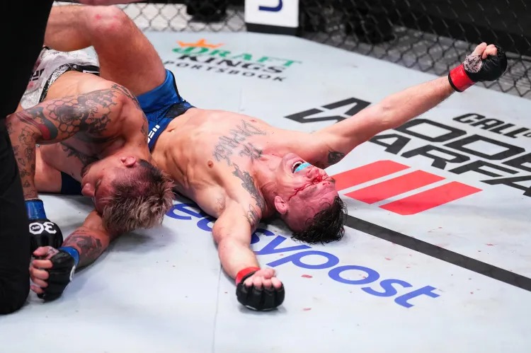 Zuffa LLC via Getty Images