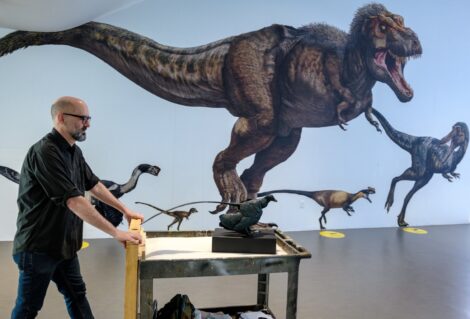 A model of Microraptor being put on display at the American Museum of Natural History. Microraptor was one of the smallest known dinosaurs, weighing about one pound—roughly the size of a large rabbit. Credit: Alvaro Keding / AMNH