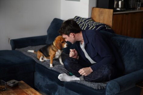 Scientists at a biotech company have used gene editing to switch off a gene that produces the main allergy-causing protein in dogs. It’s the first time this technique has been successful in dogs. Findings were published in the CRISPR Journal. (AP Foto/Mary Conlon)