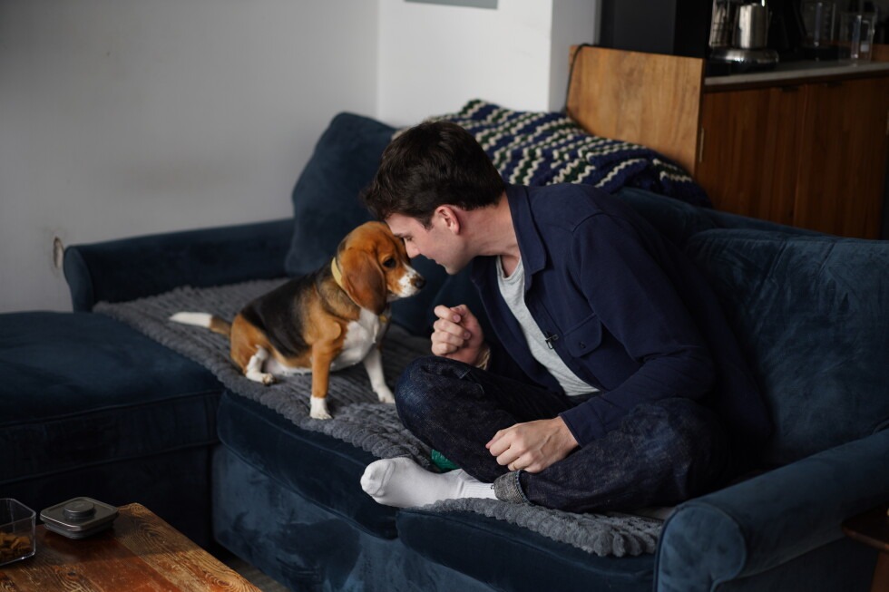 Scientists at a biotech company have used gene editing to switch off a gene that produces the main allergy-causing protein in dogs. It’s the first time this technique has been successful in dogs. Findings were published in the CRISPR Journal. (AP Foto/Mary Conlon)