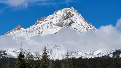 Snow covered Mount Hood under blue skies by our own coltanman