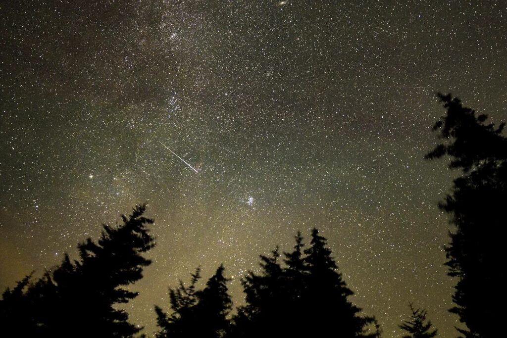 A meteor streaks across the sky during the Perseid meteor shower on Aug. 11, 2021, in Spruce Knob, West Virginia. (Bill Ingalls/NASA)