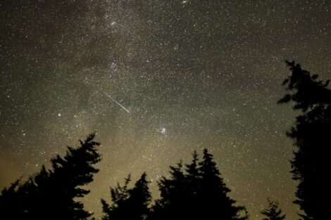 A meteor streaks across the sky during the Perseid meteor shower on Aug. 11, 2021, in Spruce Knob, West Virginia. (Bill Ingalls/NASA)