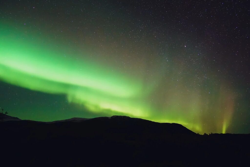 Photo by Bernd Feurich on Pexels