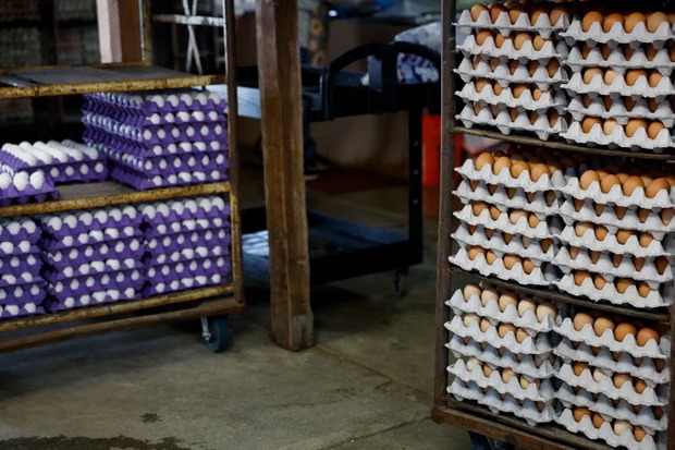 The FDA said 26 hospitalizations were connected to the outbreak. Photograph: Caroline Brehman/EPA